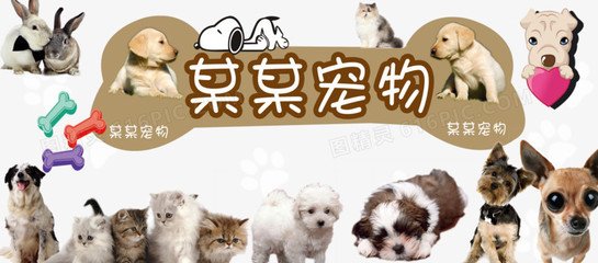 imToken钱包苹果版